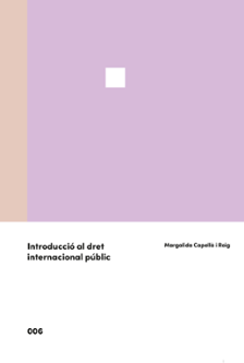 INTRODUCCI AL DRET INTERNACIONAL